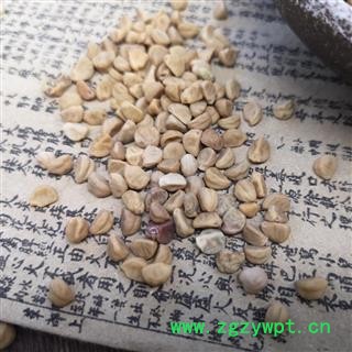 白丑白牵牛籽 白牵牛 牵牛子中草药材图3