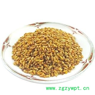 柏子仁 中药材  去壳柏子仁柏子仁茶柏子仁图4