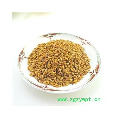 柏子仁 中药材  去壳柏子仁柏子仁茶柏子仁