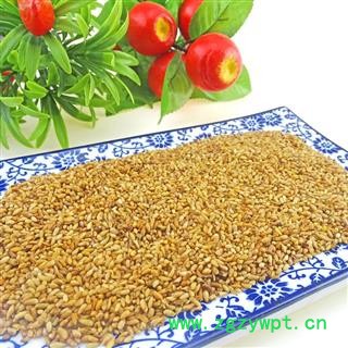 柏子仁 中药材  去壳柏子仁柏子仁茶柏子仁图2