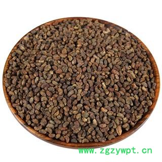 新品女贞子 女贞子中药材批发 有旱莲图4