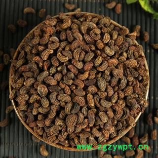 新品女贞子 女贞子中药材批发 有旱莲图2