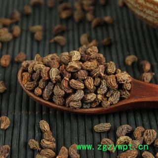 新品女贞子 女贞子中药材批发 有旱莲图3