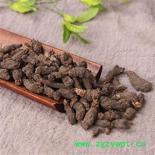 中药材 天葵子 千年老鼠屎 紫背天葵图2