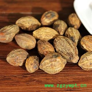 诃子  诃子中药材诃子柯子金柯子大金果图3