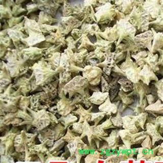 圣草康园 蒺藜白蒺藜 全绿图3