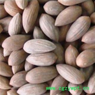 榧子 统 产地 浙江省湖州市市辖区图2