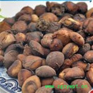 马槟榔 马槟榔统货 药方产地 广东省图2