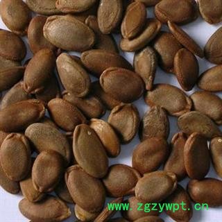 瓜蒌子 双边瓜蒌子统货 产地 河北省图2