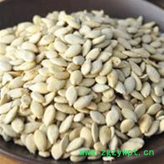 单边冬瓜子选货 新货 颜色好 质量好 价格低 规格齐全  产地 山东省图2