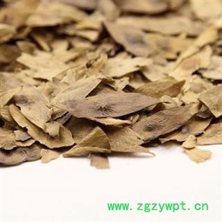 精品凤眼草选货 质量好 价格低 产地直销   产地 河北省图2