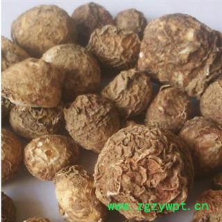 中药材滴水珠 水滴珠 一滴珠 白铃子 独龙珠图2