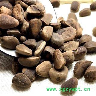 九盛堂中药材 海松子 药用松子图3