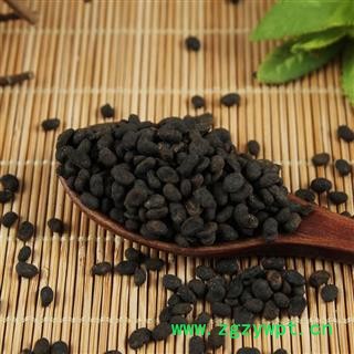 中药材无硫补骨脂胡韭子破故纸黑故子图3