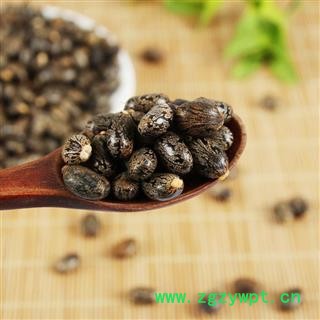 中药材 大麻子蓖麻子蓖麻籽种子蓖麻仁图3