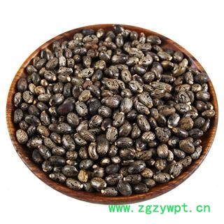 中药材 大麻子蓖麻子蓖麻籽种子蓖麻仁图4