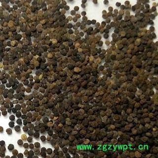 圣草康园白花菜籽 白花菜子羊角菜 屡析草 臭花菜 臭豆角 猪屎草 五梅草 白花仔草图2