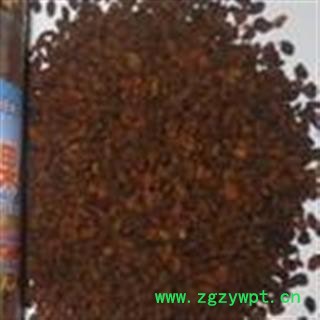 圣草康园沙棘 沙棘果 内蒙产地图2