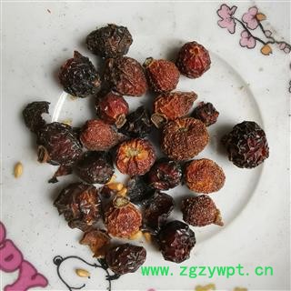 圣草康园刺玫果 实物拍照 非家刺枚果 玫瑰果 刺莓果 刺木果 山刺玫  刺梨子图3