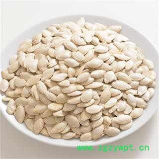 圣草康园南瓜子新货南瓜子黑南瓜子 白南瓜子两种规格图2