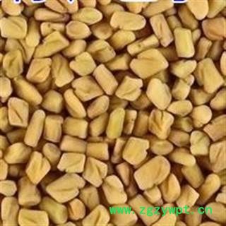 圣草康园芦巴子 国产产地河北图2