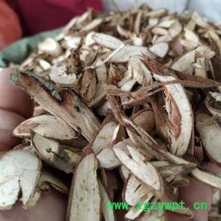 千斤拔粉质  千金拔 粉质千斤拔 千金拔  蔓性千斤拔、一条根、老鼠尾、吊马墩、吊马桩、金牛尾、箭根、钉地根、土黄芩图4