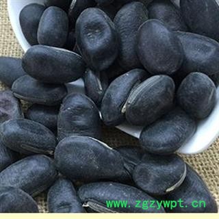 圣草康园黑刀豆 颗粒整齐 挟剑豆 野刀板藤 葛豆 刀豆角 刀板豆图2