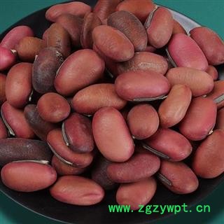 圣草康园刀豆 红刀豆 另有白刀豆 黑刀豆新货颜色好量大从优图3