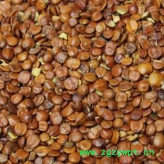 枣仁 精品进口酸枣仁选货 产地 海外图2