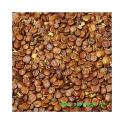 枣仁 精品进口酸枣仁选货 产地 海外