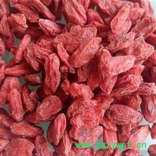 枸杞 青海枸杞180 产地 宁夏回族自治区图2