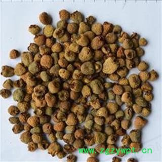 覆盆子 统 产地 浙江省图2