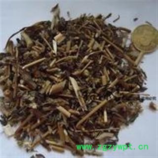 女菀 别明白菀 一年蓬 正品保证质量无理由退货退款图3