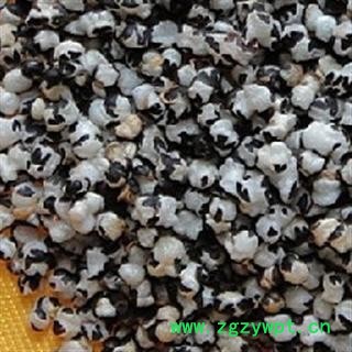 王不留 河北王不留行选货 质量好 价格低 产地 河北省图2