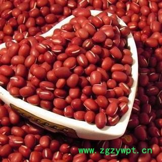 赤小豆选货 新货颜色好 质量好 价格低 产地直销  产地 山东省图2