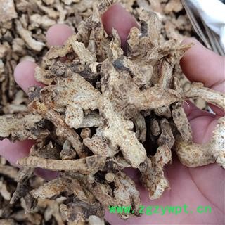 内蒙苍术 正品保证质量实图拍照7天无理由退货退款 安品堂图3