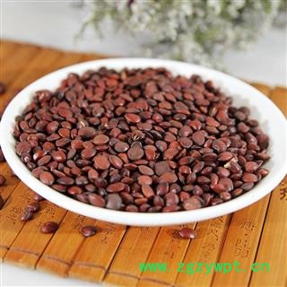 中药材 新货炒酸枣仁粉 酸枣核助眠茶精选中草药图2