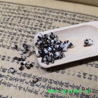 王不留行 王不留籽 留行子 王不留通草图4