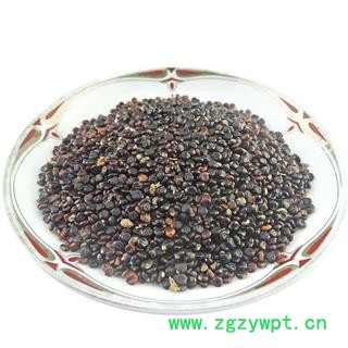 水红花子 中药材 水荭子 荭草实 水红花籽图4