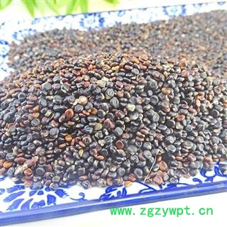 水红花子 中药材 水荭子 荭草实 水红花籽图3