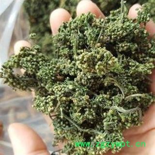 人参花 正品保证质量7天无理由退货退款 安品堂图4