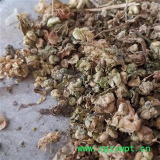 圣草康园冬葵子壳 葵菜皮 冬葵果壳 小蜀季子今年新货 实物拍照图2
