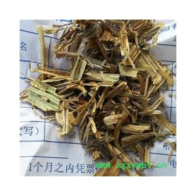 圣草康园南瓜 南瓜蔓  南瓜藤 番瓜藤 盘肠草 南瓜苗