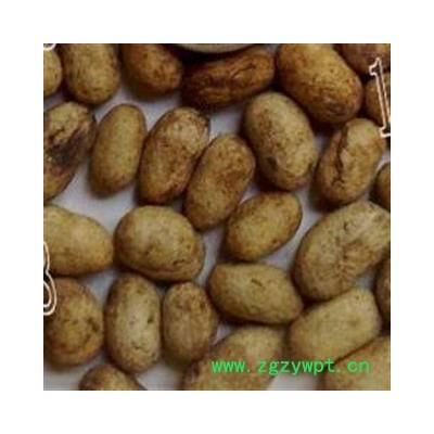 圣草康园 中药材 海南蒲桃种子 蒲桃 绿化种子 乌墨种子