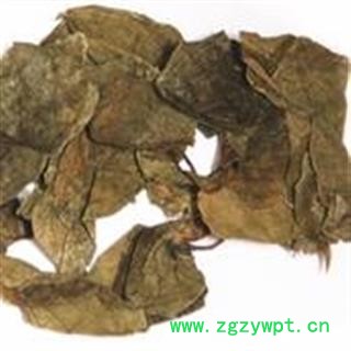 圣草康园中药材蒌叶  青娄叶 芦子 大芦子 槟榔蒟 槟榔蒌 青蒌叶图2