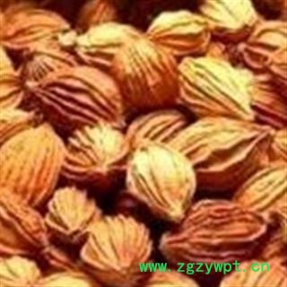 香砂 选 产地 广西壮族自治区图2