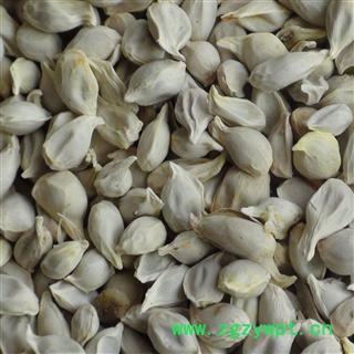 橘核 精品橘核选货 产地 四川省图2