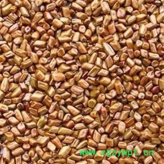 精品国产决明子选货 质量好 价格低 产地直销  产地 山东省图2