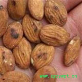 精品带皮炒扁桃仁选货 家桃仁 质量好 价格低 产地直销   产地 山西省图2