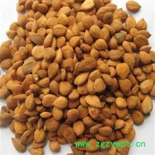 精品选装苦杏仁 颗粒饱满 新货颜色好 质量好 价格低 规格齐全   产地 山西省图2